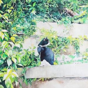 东北奇淫老老妇
